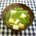 Satoco❋'s cooksnap of when they made [簡単]水菜の和風生姜スープ.