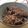ぽん1208's cooksnap of when they made 簡単♪冬の豆ごはん♪～黒豆ごはん～.
