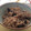 ぽん1208's cooksnap of when they made 簡単♪冬の豆ごはん♪～黒豆ごはん～.