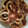 あやおーくいしんぼー's cooksnap of when they made 材料はイカだけ！甘辛しょうゆ炒め★.