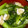 みゆwaco 's cooksnap of when they made 小松菜と油揚げの生姜醤油炒め.