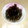 みやび0121's cooksnap of when they made おせちに簡単♪圧力鍋で黒豆煮☆甘さ控えめ.