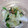 リ リ ィ's cooksnap of when they made 簡単！白菜・ほうれん草の塩こんぶあえ.