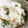 ∞らら∞'s cooksnap of when they made 桜えびと枝豆のごはん.