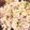 クックJYUHST☆'s cooksnap of when they made 簡単 ツナ缶 マカロニサラダ.