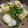 彪とら's cooksnap of when they made 簡単楽ちん♪大根DE揚げ出し風みぞれ餡.