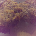 turuku's cooksnap of when they made 卵不使用ハンバーグ.