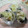 miyuki12's cooksnap of when they made 幼稚園鬼まんじゅう.