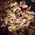 クック6VWZLC☆'s cooksnap of when they made キャベツと豚肉のサッパリ炒め.