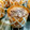 あやにゃん。's cooksnap of when they made ほろっとしっとり・・Ｗチョコマフィン.