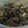 culty's cooksnap of when they made 長ネギ(青い部分)の鮭味噌マヨ炒め煮.