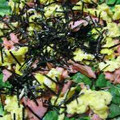 ミサプチ's cooksnap of when they made 菜の花と鮭と卵のチラシ寿し.