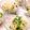 あけちゃんち。's cooksnap of when they made 貝割れ＆切干大根の中華風サラダ.