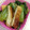 ちー姫子's cooksnap of when they made お弁当にも☆小松菜と焼油揚げのお浸し.