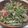 fu♪♪'s cooksnap of when they made 豆苗をツナトマトで♪.
