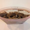 nappink's cooksnap of when they made 袋で簡単♡パピコ風チョココーヒーアイス♡.