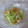 クック小町's cooksnap of when they made 手作りの風味☆白菜と鶏の胡麻マヨあえ.