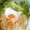 いちご＆大福's cooksnap of when they made 鶏そぼろ丼.