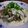 きょそ's cooksnap of when they made 鮭となすのチーズたっぷりパスタ.