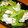 かいだこ's cooksnap of when they made セロリとささみの簡単炒めもの.