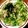 maco33's cooksnap of when they made 私のダイエットサラダ！.