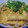 やじやじさん's cooksnap of when they made 普通のきつねうどん.