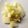 Akirakong's cooksnap of when they made ニンニク風味がやみつき！白菜の和え物.