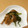きらり流れ星's cooksnap of when they made ⌘ほうれん草の中華風おひたし⌘.
