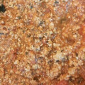 たまのゆうき's cooksnap of when they made ひき肉と玉ねぎとトマト缶でミートソース.