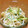 みゅチロル's cooksnap of when they made ✩あと一品！もやしときゅうりのナムル✩.