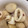 ゆのゆのらぶ's cooksnap of when they made 里芋と豆いかの煮物.