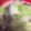 t104's cooksnap of when they made 菜の花と焼き海苔のお味噌汁.