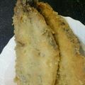 トニー・モンタナ's cooksnap of when they made 安い！うまい！鰯のフライ.
