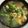 cuu1's cooksnap of when they made 給食の♪ほうれん草だけど菜の花スープ.