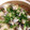kochalove's cooksnap of when they made 土鍋で☆牡蠣の炊き込みごはん.
