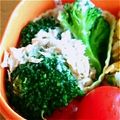 Swimmy☆'s cooksnap of when they made お弁当のおかずに！ブロッコリーのツナ和え.