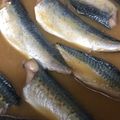 だぁ子's cooksnap of when they made フライパンで♪　さばのみそ煮.