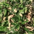 82tarou's cooksnap of when they made ヒジキとほうれん草のサラダ.