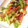 ぁぉﾋﾟｧｽ's cooksnap of when they made 超簡単！魚肉ソーセージと野菜の塩昆布炒め.