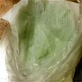 ヤミーヤムヤム's cooksnap of when they made ずっと元気♪大葉の保存方法.