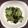 ぬぴこ3's cooksnap of when they made 簡単☆きゅうりとわかめの酢の物.