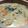 クッキングお〜ちゃん's cooksnap of when they made 簡単☆鶏と白菜のクリームシチュー.