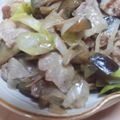 TeddySao's cooksnap of when they made ナス☆ネギ☆豚肉のオイスターソース炒め.