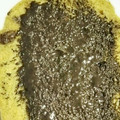 みっくママ's cooksnap of when they made 黒ごまはちみつトースト.