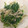りくたんたたん's cooksnap of when they made 春菊とえのきのナムル風.