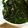 あさここなっつ's cooksnap of when they made わかめと海苔のナムル♪.