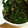 あさここなっつ's cooksnap of when they made わかめと海苔のナムル♪.