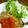 らくらく♪'s cooksnap of when they made ミニトマト☆クレイジーソルトオイル和え★.