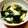 ゆずきももか's cooksnap of when they made ワカメとしめじでふんわり卵のお吸い物☆.