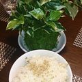 イケメンジュモンジ's cooksnap of when they made 桜えびのご飯。.